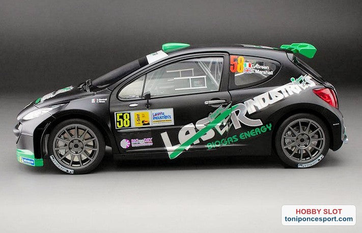 Peugeot 207 S2000, No.58, Monza Rally show, C.Breen/S.Marshall, 2013