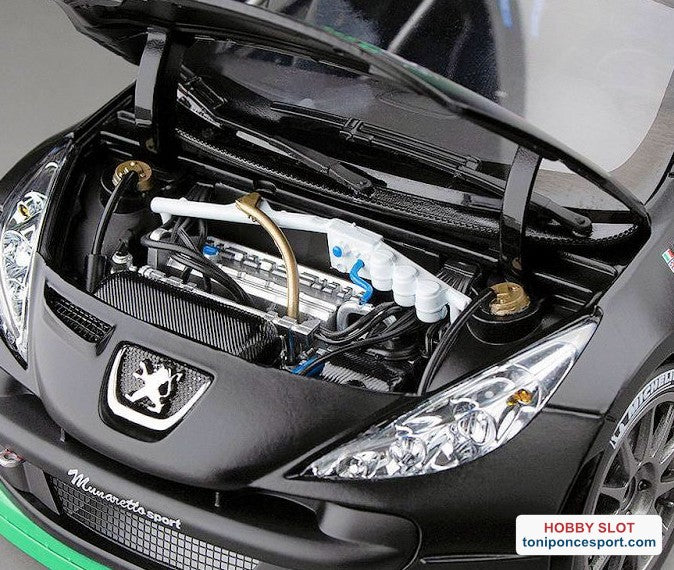 Peugeot 207 S2000, No.58, Monza Rally show, C.Breen/S.Marshall, 2013