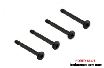 Tornillo Cabeza Redonda 2.5*25 (x4) 1/12