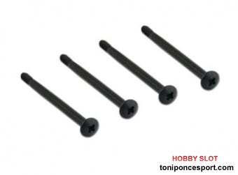 Tornillo Cabeza Redonda 2.5*34 (4P)