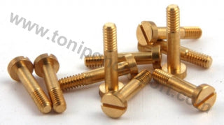 Tornillos Metricos Suspension M2.2 x 9.5 (x10)