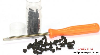 Tornillo M2 x 6 cabeza extra plana TORX