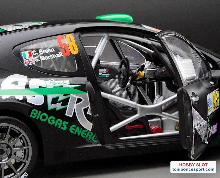Peugeot 207 S2000, No.58, Monza Rally show, C.Breen/S.Marshall, 2013