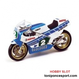Yamaha TZ 250L C. Sarron Champion 84 