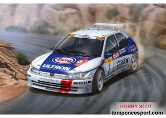 Peugeot 306 Maxi Rally Montecarlo 1996 Kit 1/24