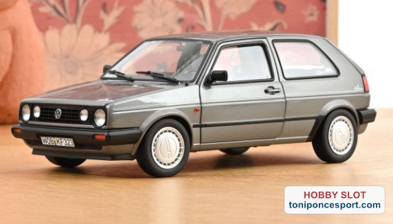 Volkswagen GOLF CHAMPION 1989 GREY METALIC
