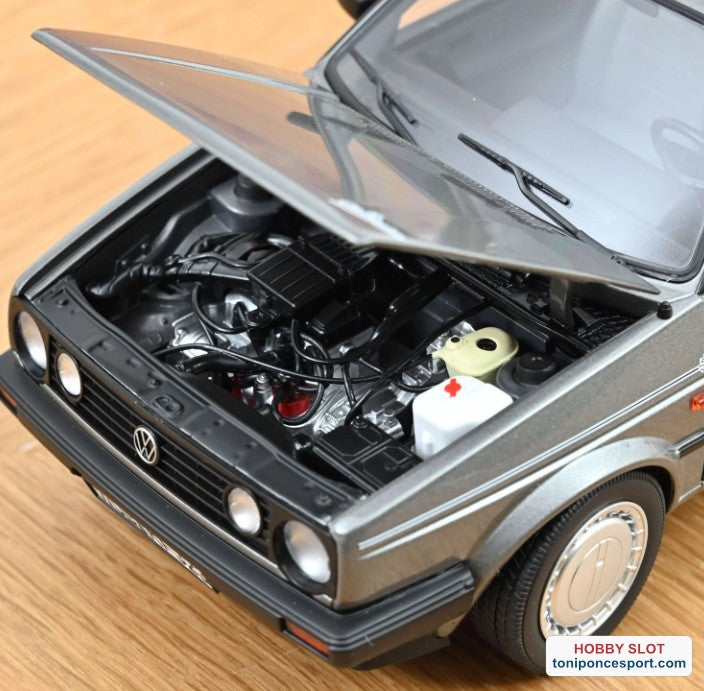 Volkswagen GOLF CHAMPION 1989 GREY METALIC