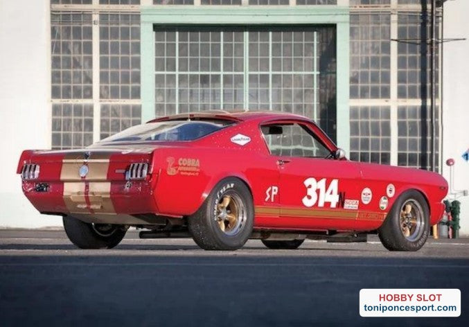 Shelby GT350H - Red and Gold