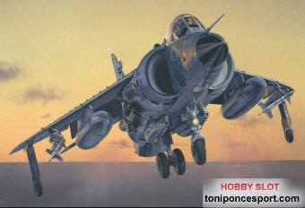 Avion Sea Harrier FRS.1