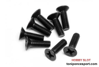 TORNILLO CABEZA PLANA 3X10 8P (XB10 / MT10)