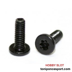 Tornillos M2 x 4mm. Cabeza extra plana TORX T6 (x20)