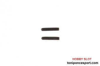 3x15mm Screw 2 piezas