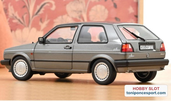 Volkswagen GOLF CHAMPION 1989 GREY METALIC